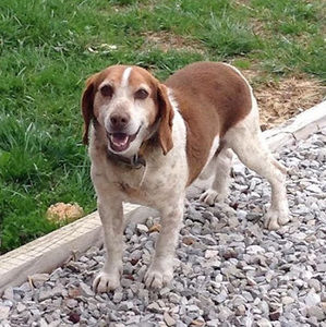 Meet your Posher, Benjamin